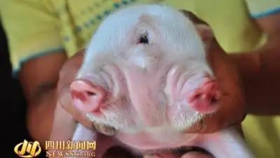 Zakon.kz, фото - Новости Zakon.kz от 29.06.2017 15:15