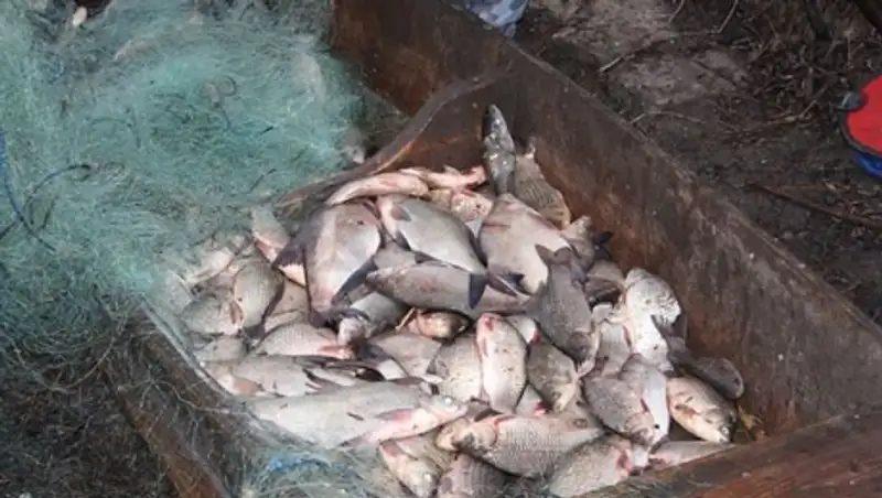 В Алматинской области за месяц выявлено более 140 фактов браконьерства