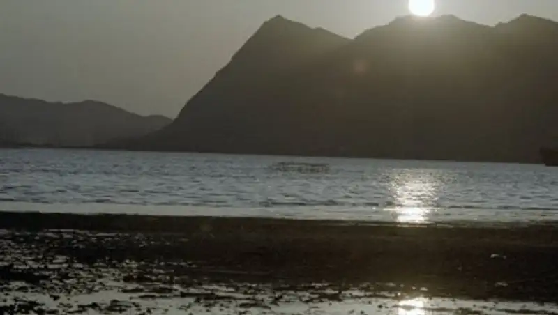 NASA показало "молочные вихри" в Каспийском море