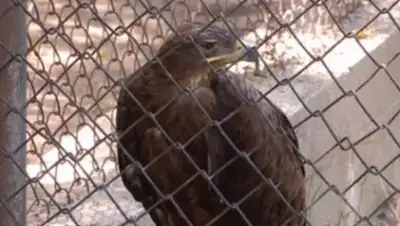 Zakon.kz, фото - Новости Zakon.kz от 16.08.2016 06:55