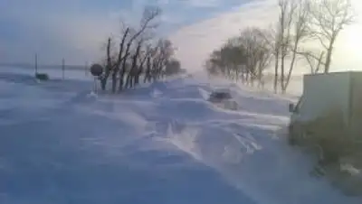 Zakon.kz, фото - Новости Zakon.kz от 10.12.2015 23:48