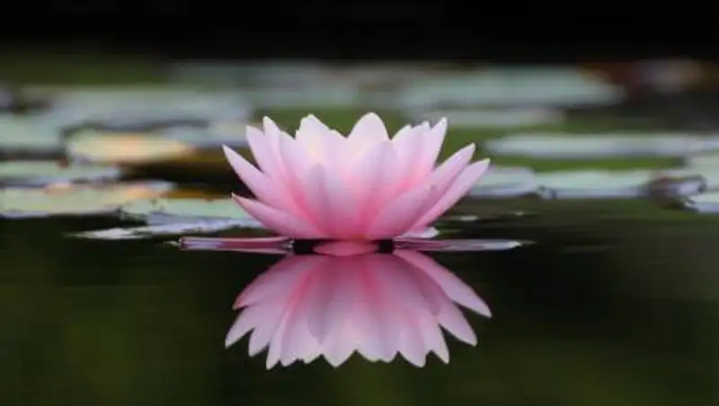 Очень сильная жара, град и туман ожидаются в Казахстане