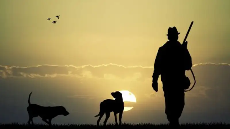 В США собака подстрелила хозяина во время охоты