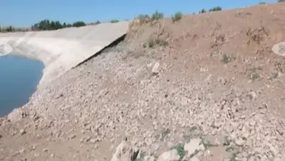 Zakon.kz, фото - Новости Zakon.kz от 02.08.2015 21:55