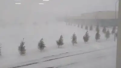 Zakon.kz, фото - Новости Zakon.kz от 23.01.2020 10:10