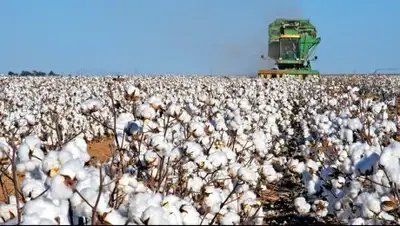 Zakon.kz, фото - Новости Zakon.kz от 24.11.2017 20:55