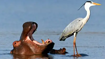 Zakon.kz, фото - Новости Zakon.kz от 09.12.2015 00:16