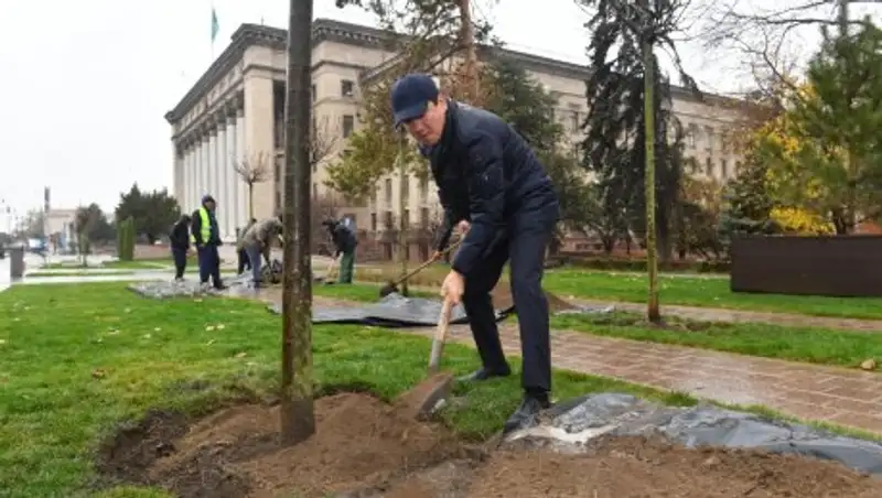Аким Алматы принял участие в посадке деревьев на пешеходных улицах