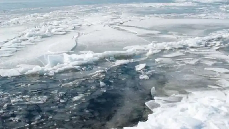 Комитет по чрезвычайным ситуациям бьет тревогу