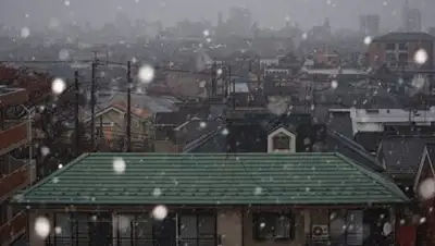 Zakon.kz, фото - Новости Zakon.kz от 23.01.2017 02:34