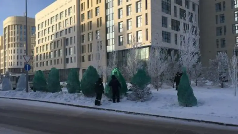 Столичные елки "одели" в зеленые наряды