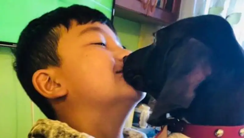 В Кыргызстане впервые осудили обвиняемого за похищение собаки