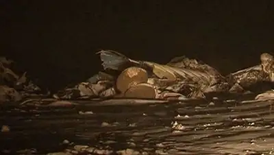 Zakon.kz, фото - Новости Zakon.kz от 08.04.2014 13:35