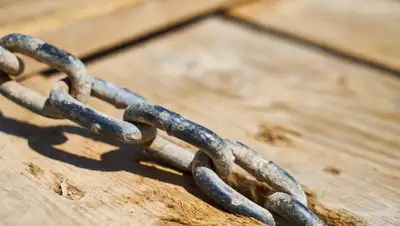 Pixabay, фото - Новости Zakon.kz от 14.11.2019 21:56