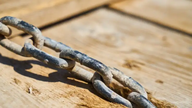 Рабочий заявил, что 20 лет находится в трудовом рабстве в Алматинской области