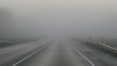 Inbusiness.kz, фото - Новости Zakon.kz от 07.02.2020 12:12