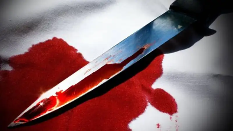 Пытаясь вернуть жену, житель Усть-Каменогорска зарезал ее сестру и ранил мать