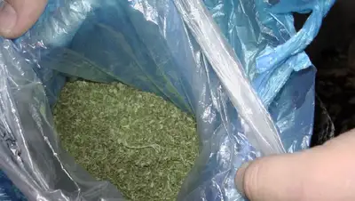 Задержание, Жамбылская область, почти 3 кг, фото - Новости Zakon.kz от 23.01.2022 17:50