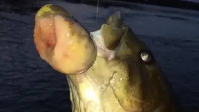 Zakon.kz, фото - Новости Zakon.kz от 07.05.2015 18:00