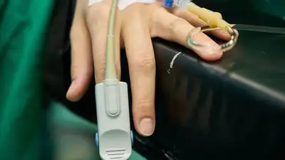 операция по стерилизации, фото - Новости Zakon.kz от 22.06.2023 14:02