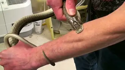 Zakon.kz, фото - Новости Zakon.kz от 22.01.2016 23:00