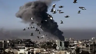 Zakon.kz, фото - Новости Zakon.kz от 07.06.2017 07:36