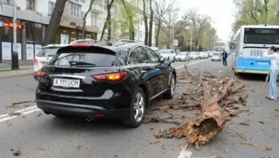 Zakon.kz, фото - Новости Zakon.kz от 10.06.2015 19:56