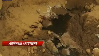 Кадр из видео, фото - Новости Zakon.kz от 11.12.2020 00:29