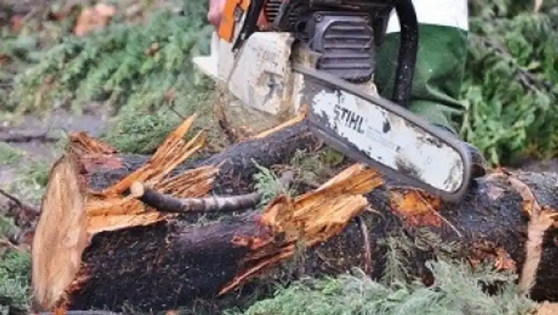 «Дровосекам» из ночного клуба в Алматы грозит серьезное наказание