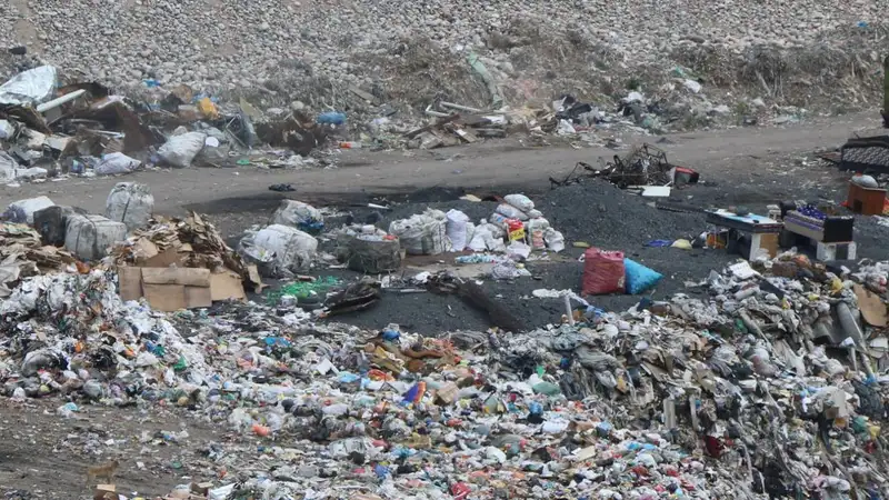 Стихийную свалку устроили в Алматы