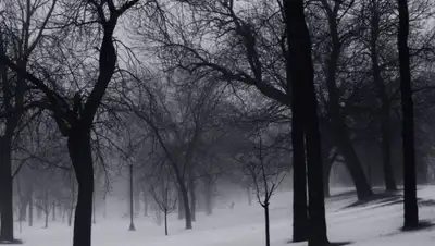 pxhere, фото - Новости Zakon.kz от 14.02.2020 13:38