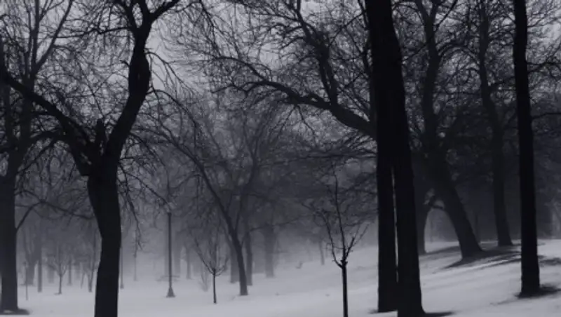 Пасмурная погода с осадками ожидается на выходных