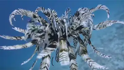 Zakon.kz, фото - Новости Zakon.kz от 07.12.2016 22:59