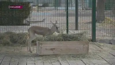 almatytv, фото - Новости Zakon.kz от 02.11.2020 21:33