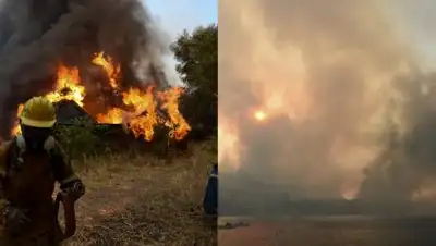 TRT World Now, фото - Новости Zakon.kz от 01.08.2021 18:56