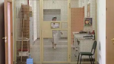 Zakon.kz, фото - Новости Zakon.kz от 18.02.2014 20:22