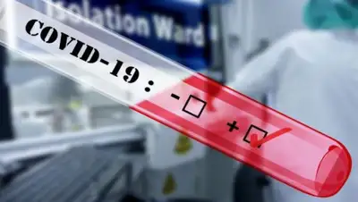 tass.ru, фото - Новости Zakon.kz от 11.09.2020 15:45