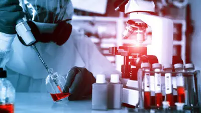 газета.ру, фото - Новости Zakon.kz от 24.08.2020 18:21