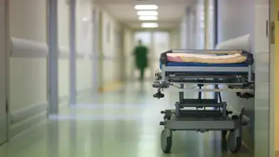 Shutterstock, фото - Новости Zakon.kz от 25.06.2020 11:35