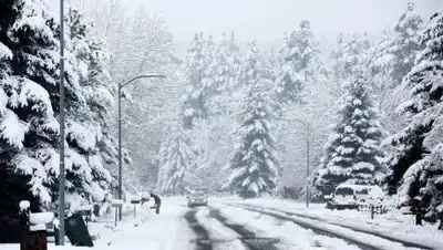 zakon.kz., фото - Новости Zakon.kz от 01.12.2020 06:00