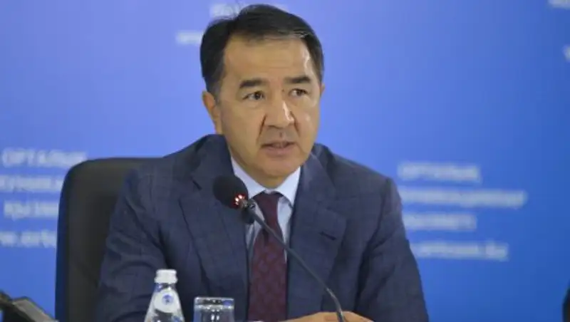 Сагинтаев: Кто-то должен «стучать», потому-что мы чиновники привыкли все краской заливать