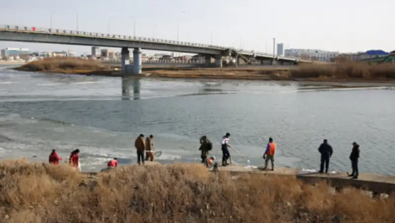 По факту гибели рыбы на Урале создана комиссия