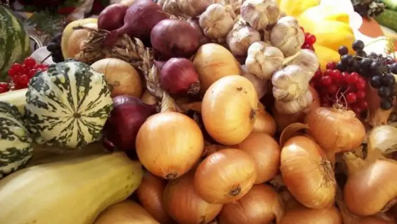 30 тоннадай азы&#1179;-т&#1199;лік Ресей шекарасынан елімізге кері &#1179;айтарылды