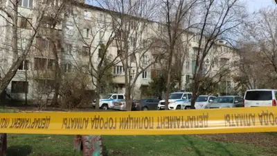 zakon.kz, фото - Новости Zakon.kz от 12.04.2020 23:42