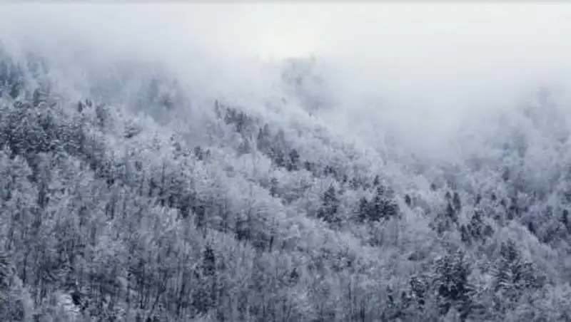 Сильный снег и туман. Погода на 25 февраля