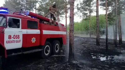 Последствия крупного пожара в Абайской области показали с вертолета, фото - Новости Zakon.kz от 26.05.2023 11:38