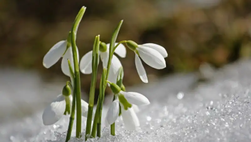 Теплые выходные ожидают казахстанцев