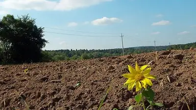Zakon.kz, фото - Новости Zakon.kz от 08.10.2015 20:23