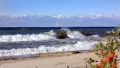 снг, культура, столица, караколь, мид, фото - Новости Zakon.kz от 20.12.2021 16:34