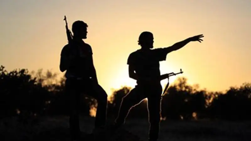 Грузия предложила готовить боевиков для сирийской оппозиции